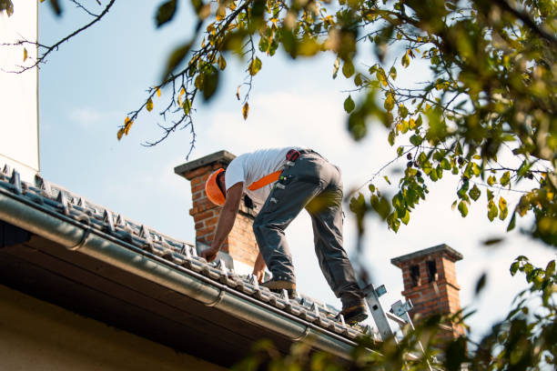 Roof Insulation in Hayfield, MN