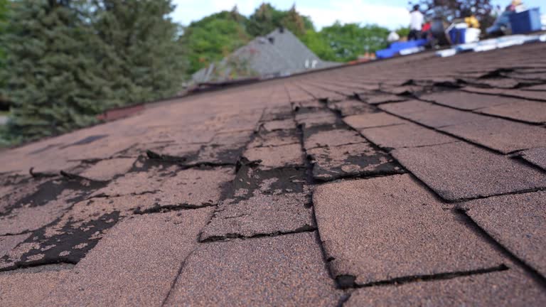 Best Steel Roofing  in Hayfield, MN