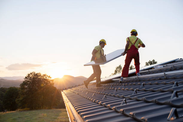 Best Roof Moss and Algae Removal  in Hayfield, MN