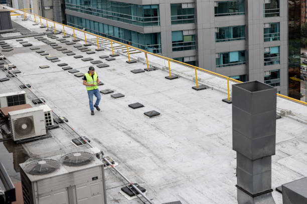 Best Flat Roofing  in Hayfield, MN