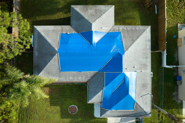 Best Commercial Roofing Services  in Hayfield, MN