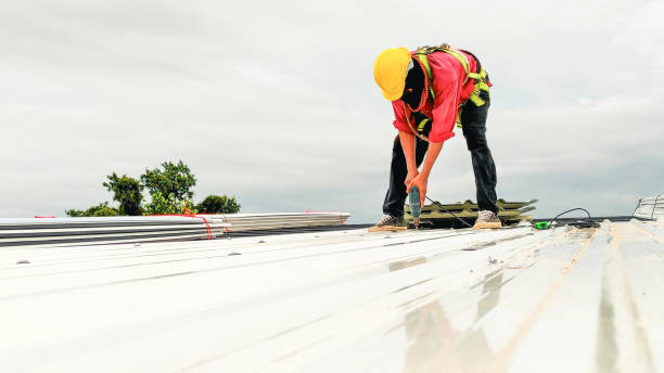 Best Wood Shake Roofing  in Hayfield, MN