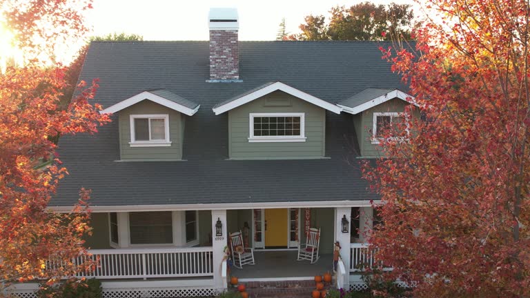 Best 4 Ply Roofing  in Hayfield, MN