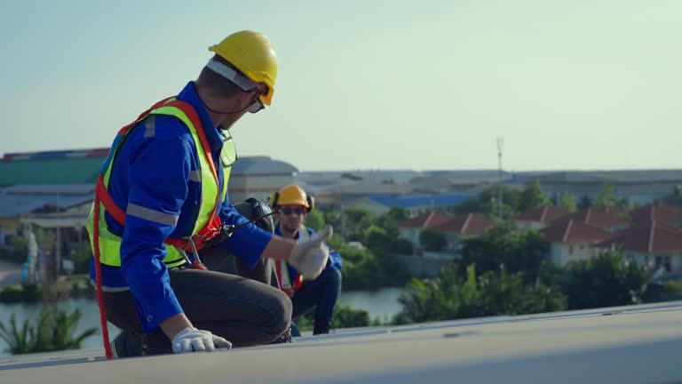 Best Roof Insulation Installation  in Hayfield, MN