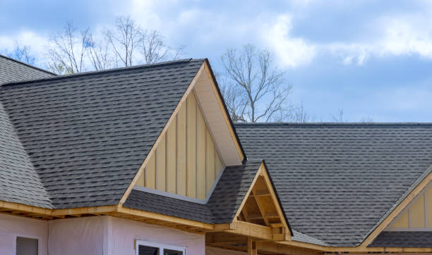 Best Hot Roofs  in Hayfield, MN