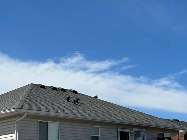 Reliable Hayfield, MN Roofing Service Solutions