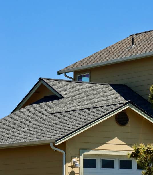 Best 4 Ply Roofing  in Hayfield, MN